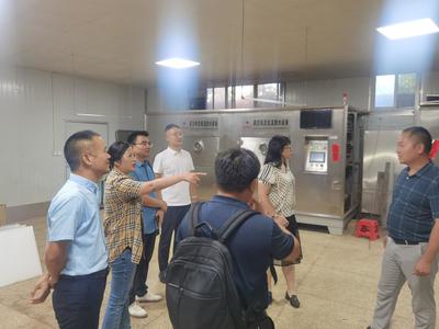 莫凌云副處長帶隊赴陽朔縣白沙鎮開展科技合作與市場調研